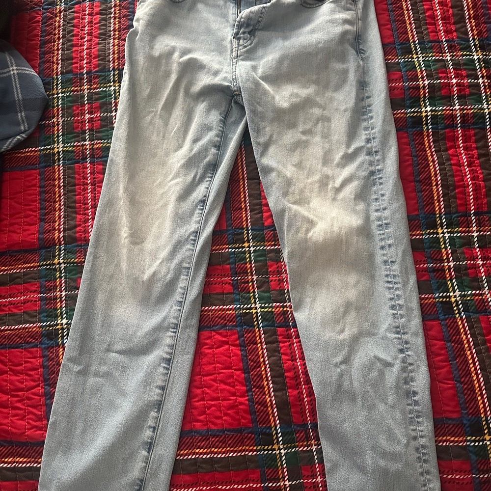 American Eagle Outfitters Light Blue Slim Straight Jeans